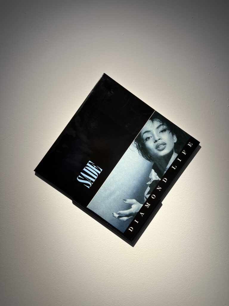 Suport de perete pentru 1 disc de vinil, 12inch, pentru colectionari, birou, acasa, spatiu artistic, 19cm x 13cmx 1.5cm